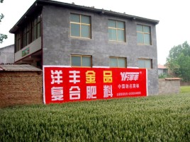 利川如何让墙体广告展现最大化效果